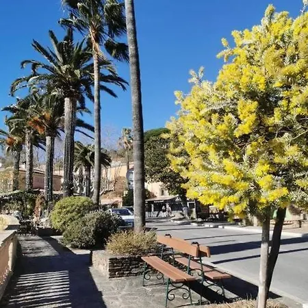 Les Cles Du Sud 35m2 Bormes-les-Mimosas